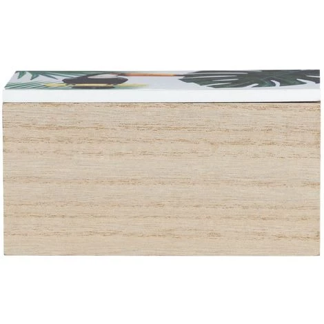 WENKO Boîte De Rangement Tropicale Tucan - L. 10 X H. 8 Cm - 10 X 15 X 8 - Vert 5 WENKO Boîte De Rangement Tropicale Tucan - L. 10 X H. 8 Cm - 10 X 15 X 8 - Vert – Image 3
