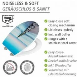 WENKO Abattant WC Avec Frein De Chute Premium Alba Surface Avec Relief, Abattant WC Clipsable, Fixation Inox, Duroplast Antibactérien, 38x44,5 Cm, Multicolore -WENKO Soldes 15852954 5