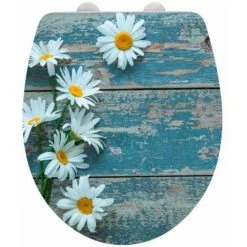 WENKO Abattant WC Original Asteride, Abattant WC Avec Frein De Chute, Clipsable, Fixation Inox, Thermoplastique, 36,5x45 Cm, Multicolore