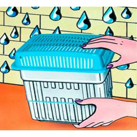 WENKO Absorbeur-humidivore Set De 2 kg Avec Recharge 2 kg 5 WENKO Absorbeur-humidivore Set De 2 kg Avec Recharge 2 kg – Image 3