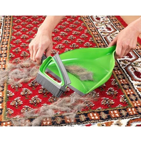 WENKO Pelle Et Balayette Nettoyage Sec Et Liquide Duo - 22 X 30 X 5 - Vert 5 WENKO Pelle Et Balayette Nettoyage Sec Et Liquide Duo - 22 X 30 X 5 - Vert – Image 3