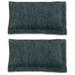 WENKO Déshumidificateur Pour La Voiture