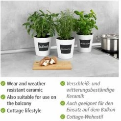 WENKO Pot Herbes Aromatiques Interieur Avec étiquette Ardoise Waia, Pot Plante Aromatique, Céramique - Ardoise, ø13x13 Cm, Blanc/noir -WENKO Soldes 35962405 3