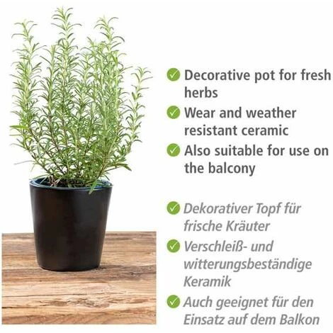 WENKO Pot à Herbes Noir, Récipient Black Outdoor Kitchen Pour Herbes Aromatiques, Céramique Haute Qualité, Boîte Décorative Pour Poser Les Herbes Sur La Table Ou à Côté Du Grill, ∅ 13 X 13 Cm, Noir 4 WENKO Pot à Herbes Noir, Récipient Black Outdoor Kitchen Pour Herbes Aromatiques, Céramique Haute Qualité, Boîte Décorative Pour Poser Les Herbes Sur La Table Ou à Côté Du Grill, ∅ 13 X 13 Cm, Noir – Image 2