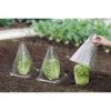 WENKO 6 Housses Pour Plants - 18,5 X 18,5 X 22 - Transparent 1 WENKO 6 Housses Pour Plants - 18,5 X 18,5 X 22 - Transparent -WENKO Soldes 6389585 1