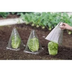 WENKO 6 Housses Pour Plants - 18,5 X 18,5 X 22 - Transparent