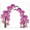 WENKO Fond De Hotte, Crédence Cuisine En Verre, "Orchideés", Verre Trempé, 50x56 Cm, Multicolore 2 WENKO Fond De Hotte, Crédence Cuisine En Verre, "Orchideés", Verre Trempé, 50x56 Cm, Multicolore -WENKO Soldes 6578850 1