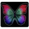 WENKO Fond De Hotte, Crédence Cuisine En Verre, "Papillons", Verre Trempé, 50x56 Cm, Multicolore 2 WENKO Fond De Hotte, Crédence Cuisine En Verre, "Papillons", Verre Trempé, 50x56 Cm, Multicolore -WENKO Soldes 6579204 1