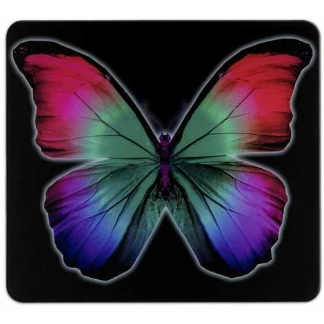 WENKO Fond De Hotte, Crédence Cuisine En Verre, "Papillons", Verre Trempé, 50x56 Cm, Multicolore 3 WENKO Fond De Hotte, Crédence Cuisine En Verre, "Papillons", Verre Trempé, 50x56 Cm, Multicolore