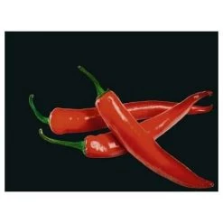 WENKO Fond De Hotte, Crédence Cuisine Verre "Hot Peperoni", Verre Trempé, 60x70 Cm, Multicolore