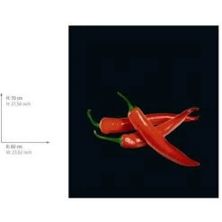 WENKO Fond De Hotte, Crédence Cuisine Verre "Hot Peperoni", Verre Trempé, 60x70 Cm, Multicolore 9 WENKO Fond De Hotte, Crédence Cuisine Verre "Hot Peperoni", Verre Trempé, 60x70 Cm, Multicolore -WENKO Soldes 6579373 4