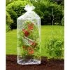 WENKO Mini Serre Tomate, Serre De Jardin Pour Tomate, Lot De 2 - Transparent 1 WENKO Mini Serre Tomate, Serre De Jardin Pour Tomate, Lot De 2 - Transparent -WENKO Soldes 6580126 1