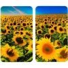 WENKO Protection Plaque De Cuisson, Couvre Plaque De Cuisson En Verre "Tournesols", Lot De 2, 30 X 52 Cm -WENKO Soldes 9677849 1
